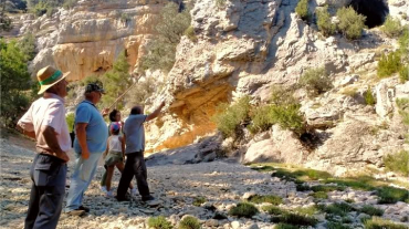 Arxiu. Pintures rupestres de Portell 1(1)