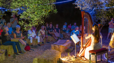 Oliveres & Estels Sant Jordi(1)