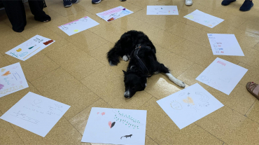 IMG_6231 IAG CRISOL(1)