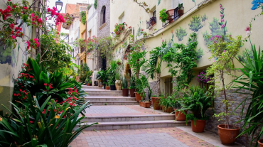 Viles en Flor Torreblanca(1)