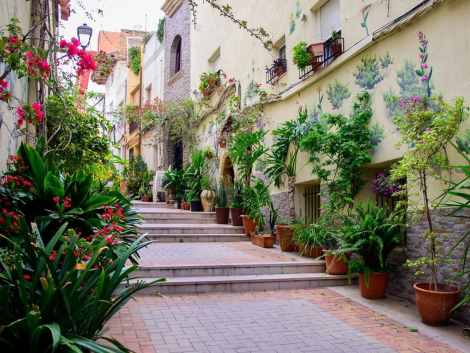 Viles en Flor Torreblanca(1)