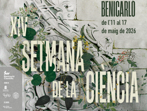 940-x-788-setci-26(1)